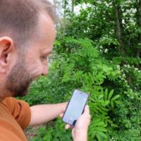 Bundesweiter „BioBlitz“ im Botanischen Garten der Uni Ulm: Wo gibt es die größte Artenvielfalt?