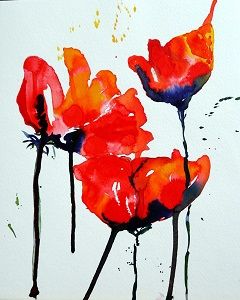 Mohn Foto Christine Kanthack