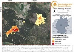 Nicht nur bei Waldbränden bieten die Copernicus-Dienste großräumige und detaillierte Informationen zu auftretenden Schäden  © Thünen-Institut/CEMS