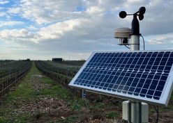 Die Sensoren der Firma Fluid Systems & Automation GmbH (FSA) überprüfen neben Wetterdaten auch den Zustand des Bodens in den Weinbergen – für eine optimale Bewässerung. Das Projekt wird von der Deutschen Bundesstiftung Umwelt (DBU) gefördert.  Fluid Systems & Automation GmbH