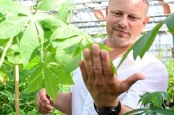 Dr. Björn Krenz, Abteilungsleiter Pflanzenviren im Forschungsgewächshaus, Leibniz-Institut DSMZ Andreas Greiner-Napp DSMZ