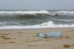 Plastikmüll, angeschwemmt am Sylter Weststrand nach einer stürmischen Nacht.  Sina Löschke  Alfred-Wegener-Institut