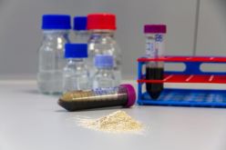 Aus nährstoffreichen Reststoffen wie Abwasser, Gülle und Gärresten kann Phosphor in Form von Phosphatsalzen zurückgewonnen werden.  Copyright: Fraunhofer IGB