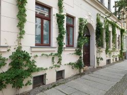 Florierende Altstädte: Begrünte Gebäude gegen die Hitze