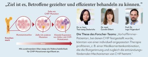 Darstelleung des Prozesses der klonalen Hämatopoese mit unbestimmtem Potenzial (CHIP). Ältere Menschen sind naturgemäß häufiger betroffen.  Copyright: Deutsche Herzstiftung