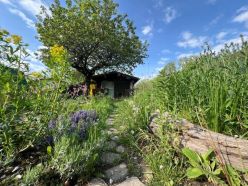 In Deutschland gibt es rund 17 Millionen Gärten, die von etwa 36 Millionen Menschen genutzt werden. GartenDiv hofft auf neue Einblicke in ihre Biodiversität.  Quelle: Dr. Ingmar Staude  Copyright: Universität Leipzig