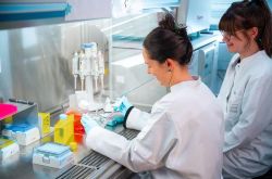 ERC Starting Grant für DDZ-Forscherin: Wie Muskeln Stoffwechsel und Krebs beeinflussen