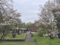 Bochum, „Mark(t)fest“ auf dem Pfarrer-Halbe-Platz