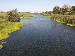 Auf den ersten Eindruck in einem naturnahen Zustand, aber seit Jahrhunderten stark durch Menschen beeinflusst: die Aue der Unteren Havel in Brandenburg.  Foto: Prof. Christoph Zielhofer