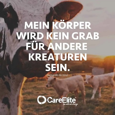 Zitat von Leonardo da Vinci