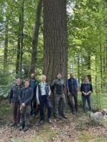 Douglasie im Waldumbau - Was ein 135 Jahre alter Versuchsbestand zeigt