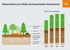 Veränderungen des Kohlenstoffvorrates in Wald und Holzprodukten.  Grafik: FNR