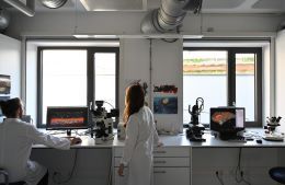 Chemische Materialanalysen einer historischen Beschichtung auf Zinkgussplatten des 19. Jahrhunderts.  Quelle: Mareike Stein, Fabian Vohl/Universität Bamberg