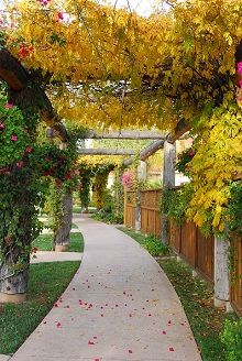 Pergola Symbolbild