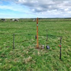Einer der Messstandorte des Projekts KI-Nationalpark im Nationalpark Niedersächsisches Wattenmeer – hier erfassen Wildtierkamera und Audiorekorder Daten zur Artenvielfalt und Umweltveränderungen.  Copyright: Florian Packmor, Nationalparkverwaltung Niedersächsisches Wattenmeer