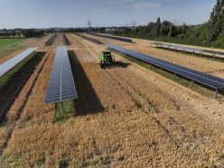 Wissenschaftler des TFZ haben den Leitfaden zum Bau einer Agri-PV-Anlage überarbeitet und neu herausgebracht.  Malte Stöppler  TFZ
