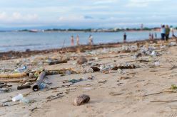 Plastik in allen Bereichen der Umwelt: Über das Problem braucht es mehr Fachwissen. Foto: iStock/ Kateryna Kukota  iStock/ Kateryna Kukota