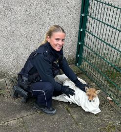 "Fritz" in Sicherheit bei einer Herner Polizeibeamtin