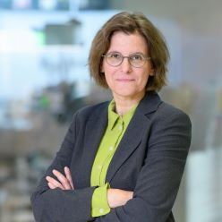 Irene Bertschek, Leiterin des Forschungsbereiches „Digitale Ökonomie“ am ZEW – Leibniz-Zentrum für Europäische Wirtschaftsforschung Mannheim und Professorin für „Ökonomie der Digitalisierung“ an der Justus-Liebig-Universität Gießen  ZEW Anna Logue