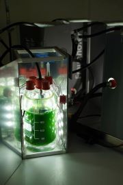 Photobioreaktor des Fraunhofer FEP zur Kultivierung phototropher Mikroorganismen im Labormaßstab unter definierten Licht-, Temperatur- und Gasbedingungen  Finn Hoyer  © Fraunhofer FEP