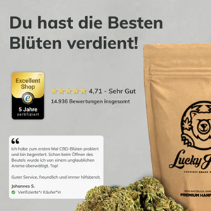 CBD im Alltag Symbolbild