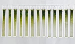 Die interdisziplinäre Arbeit „Kühe machen Mühe“ aus Design und Ingenieurwissenschaften soll Abwässer aus der Kuhhaltung behandeln.  Theresa Tropschuh
