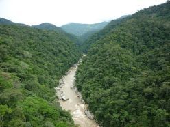 Ecuador hat auch einen Anteil an der weltweit bedeutendsten tropischen Wildnisregion, dem Amazonasbecken, das nicht nur für die Biodiversität, sondern auch für die zukünftige Entwicklung des Klimas von entscheidender Bedeutung ist.  Elicia Tapia  LIB