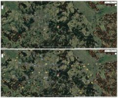Neues Warnsystem erkennt Waldstörungen in Europa nahezu in Echtzeit