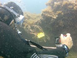 Ein Taucher vor einem BlueDOT-Sensor.Kalibrierungs-Tauchplätze sind jetzt an der Costa Brava (Spanien) und auf Gozo (Malta) eingerichtet.  Copyright: BlueDOT, Christophe Galerne
