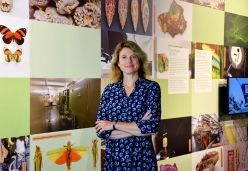 Prof. Dr. Simone Rödder verbindet im LIB Forschung und Museumsarbeit.  Copyright: LIB, Pour