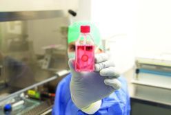 Augenhornhauttransplantat in der Gewebebank DGFG