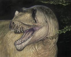 Lebendrekonstruktion von Tameryraptor markgrafi  Künstler: Joshua Knüppe