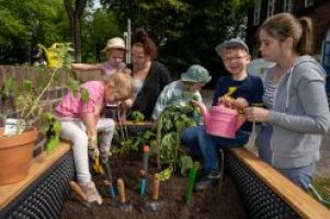 Bochum, Gemeinsam für eine grünere Stadt: Hochbeet-Verschenkaktion 2025 voller Erfolg
