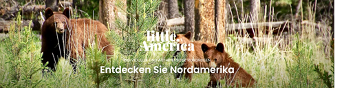 Entdecke Little America Symbolbild