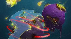 stilisierte Abbildung eisenabhängiger Zelltod CLL  Quelle: Universitätsmedizin Magdeburg