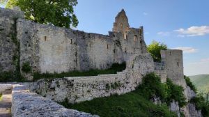 Burg Hohenurach bei Bad Urach  Quelle: Michael Kienzle  Copyright: Universität Tübingen