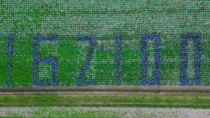 100 Jahre IGZ  Quelle: V. Púčiková  Copyright: IGZ